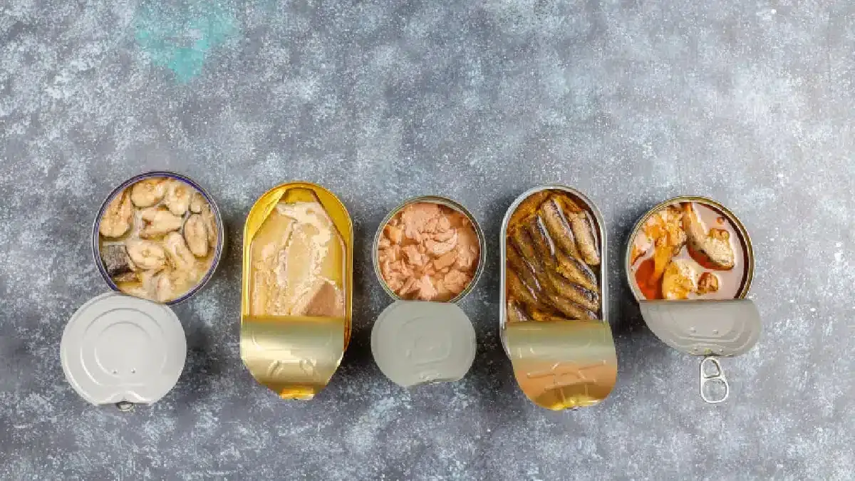 Überraschende Einblicke in die Gesundheit der Ozeane durch alte Lachsproben